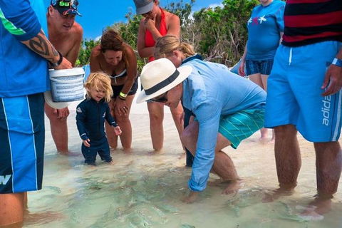 Whitehaven Beach And Hamilton Island Cruise - Accommodation in Surfers Paradise 1