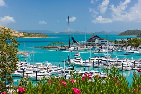 Whitehaven Beach And Hamilton Island Cruise - Accommodation in Surfers Paradise 3