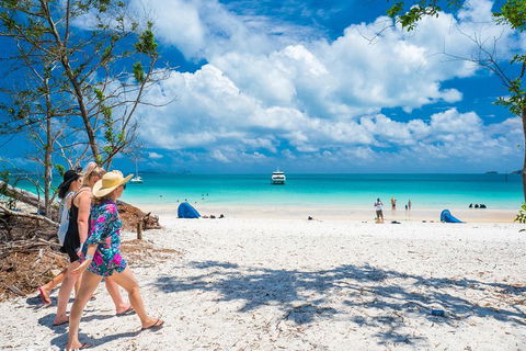 Whitehaven Beach Half-Day Cruises - Accommodation in Surfers Paradise 1