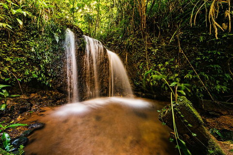 Paronella Park Admission Ticket - Accommodation in Surfers Paradise 5