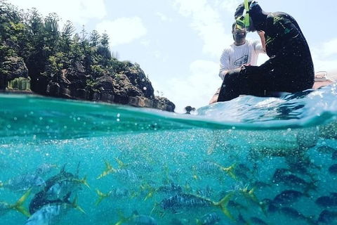 2 Night Small Group Whitsundays Sailing Adventure Aboard Mandrake - Accommodation in Surfers Paradise 5