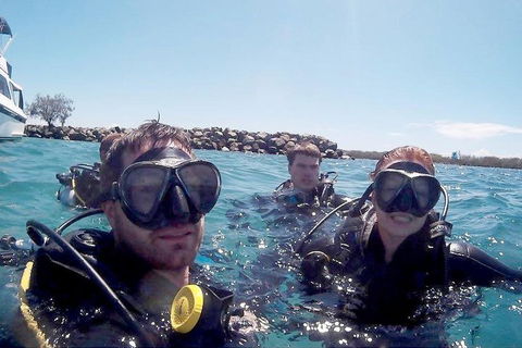 Wave Break Island Scuba Diving On The Gold Coast - Accommodation in Surfers Paradise 0