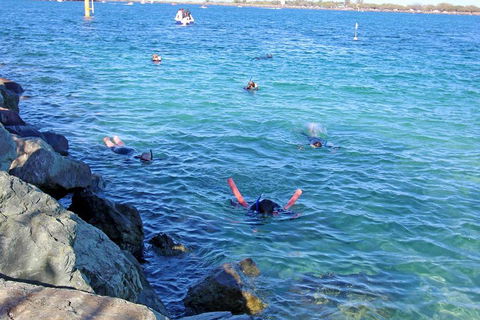 Wave Break Island Scuba Diving On The Gold Coast - Accommodation in Surfers Paradise 1