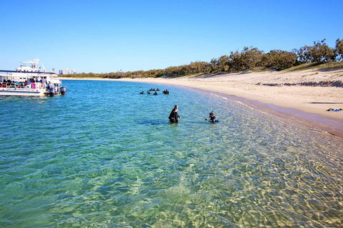 Wave Break Island Scuba Diving On The Gold Coast - Accommodation in Surfers Paradise 4
