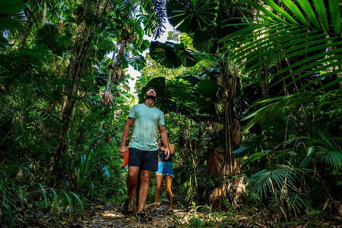 Full Day Daintree Rainforest And Mossman Gorge Tour - Accommodation in Surfers Paradise 0