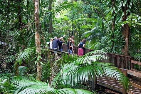 Full Day Daintree Rainforest And Mossman Gorge Tour - Accommodation in Surfers Paradise 1