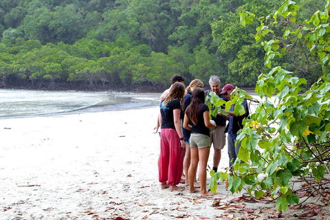 Full Day Daintree Rainforest And Mossman Gorge Tour - Accommodation in Surfers Paradise 2