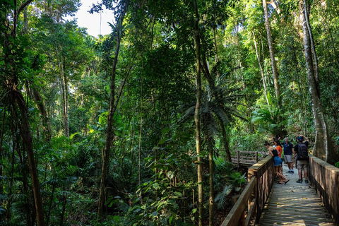 Full Day Daintree Rainforest And Mossman Gorge Tour - Accommodation in Surfers Paradise 5