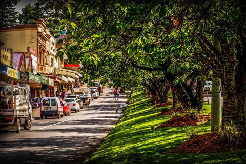 Fully Inclusive Blue Mountains Private Tour Inc Scenic World & Featherdale Entry - Accommodation in Surfers Paradise 0
