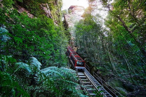 Fully Inclusive Blue Mountains Private Tour Inc Scenic World & Featherdale Entry - Accommodation in Surfers Paradise 4