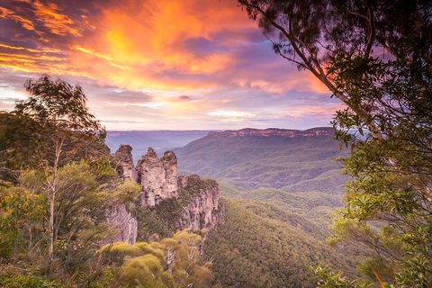 Fully Inclusive Blue Mountains Private Tour Inc Scenic World & Featherdale Entry - Accommodation in Surfers Paradise 5