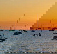 Darwin Shore Excursion Hop-on Hop-off Bus Tour - Accommodation in Surfers Paradise