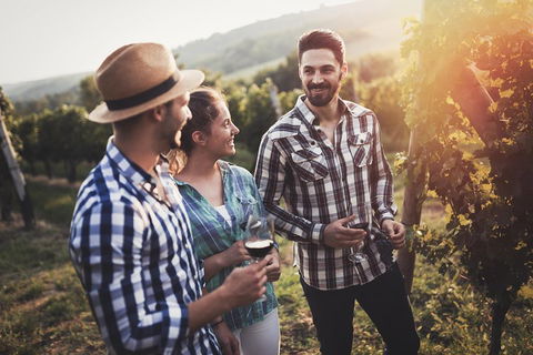 Full Day Mount Tamborine Winery Tour From Gold Coast - Accommodation in Surfers Paradise 5