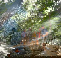 Mossman Gorge Adventure Day - Accommodation in Surfers Paradise
