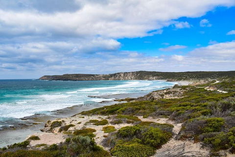 Kangaroo Island Luxury Small Group 'East End Explorer' Full Day Tour - Accommodation in Surfers Paradise 0