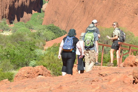 Afternoon Kata Tjuta Small Group Tour - Accommodation in Surfers Paradise 0