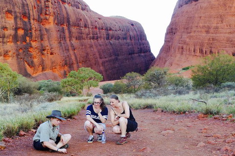 Afternoon Kata Tjuta Small Group Tour - Accommodation in Surfers Paradise 2