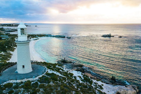 Discover Rottnest With Ferry & Bus Tour From Perth Or Fremantle - Accommodation in Surfers Paradise 2