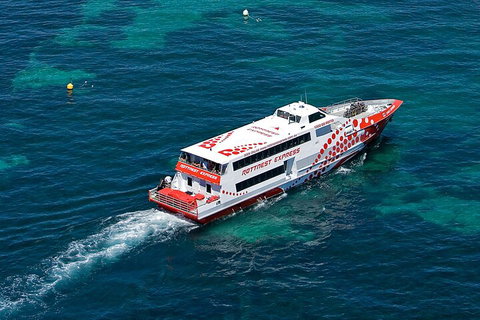 Discover Rottnest With Ferry & Bus Tour From Perth Or Fremantle - Accommodation in Surfers Paradise 3