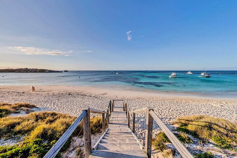 Discover Rottnest With Ferry & Bus Tour From Perth Or Fremantle - Accommodation in Surfers Paradise 4