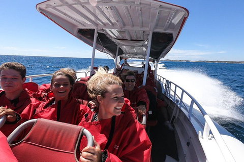 Adventure Rottnest Tour With Ferry & Adventure Cruise From Perth Or Fremantle - Accommodation in Surfers Paradise 0