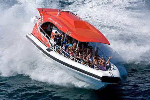 Adventure Rottnest Tour With Ferry & Adventure Cruise From Perth Or Fremantle - Accommodation in Surfers Paradise 2