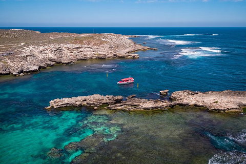 Adventure Rottnest Tour With Ferry & Adventure Cruise From Perth Or Fremantle - Accommodation in Surfers Paradise 3