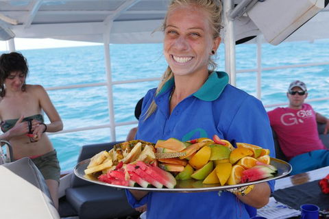 Ocean Free Green Island & Great Barrier Reef Snorkel Cruise, Cairns 25 Guests - Accommodation in Surfers Paradise 1