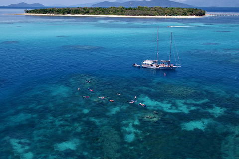 Ocean Free Green Island & Great Barrier Reef Snorkel Cruise, Cairns 25 Guests - Accommodation in Surfers Paradise 2