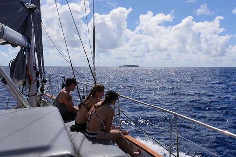 Ocean Free Green Island & Great Barrier Reef Snorkel Cruise, Cairns 25 Guests - Accommodation in Surfers Paradise 4