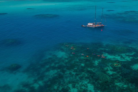 Ocean Free Green Island & Great Barrier Reef Snorkel Cruise, Cairns 25 Guests - Accommodation in Surfers Paradise 5