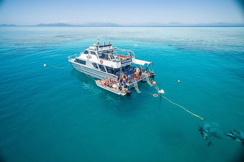 Ocean Freedom Great Barrier Reef Personal Luxury Snorkel & Dive Cruise, Cairns - Accommodation in Surfers Paradise 0