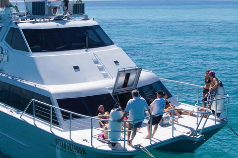Ocean Freedom Great Barrier Reef Personal Luxury Snorkel & Dive Cruise, Cairns - Accommodation in Surfers Paradise 1
