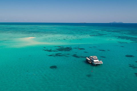 Ocean Freedom Great Barrier Reef Personal Luxury Snorkel & Dive Cruise, Cairns - Accommodation in Surfers Paradise 2