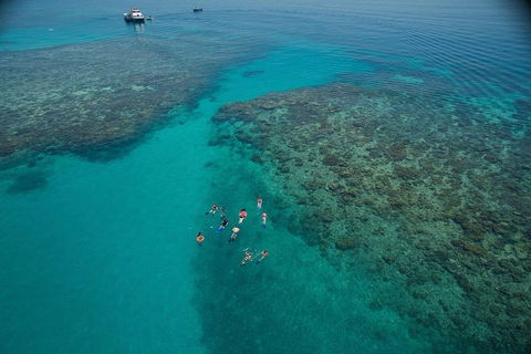 Ocean Freedom Great Barrier Reef Personal Luxury Snorkel & Dive Cruise, Cairns - Accommodation in Surfers Paradise 3