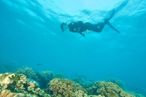 Ocean Freedom Great Barrier Reef Personal Luxury Snorkel & Dive Cruise, Cairns - Accommodation in Surfers Paradise 5