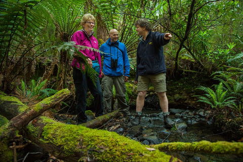 Bruny Island Traveller - Gourmet Tasting And Sightseeing Day Trip From Hobart - Accommodation in Surfers Paradise 1