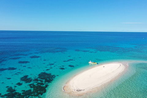Ocean Safari Great Barrier Reef Experience In Cape Tribulation - Accommodation in Surfers Paradise 0