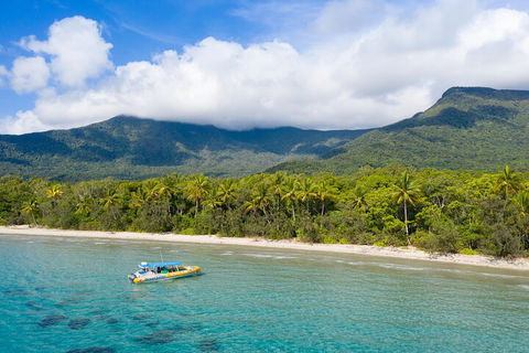 Ocean Safari Great Barrier Reef Experience In Cape Tribulation - Accommodation in Surfers Paradise 2