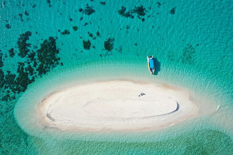 Ocean Safari Great Barrier Reef Experience In Cape Tribulation - Accommodation in Surfers Paradise 3