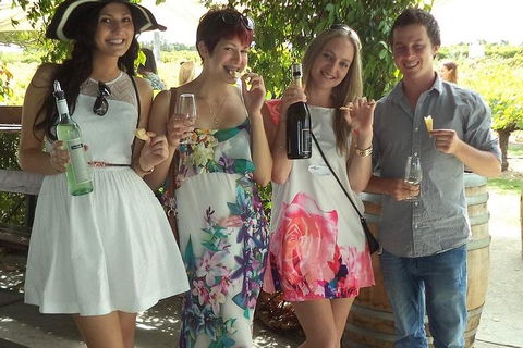1/2 Day Swan Valley Wine Cheese & Chocolate Tour Inc Afternoon Cruise To Perth - Accommodation in Surfers Paradise 4