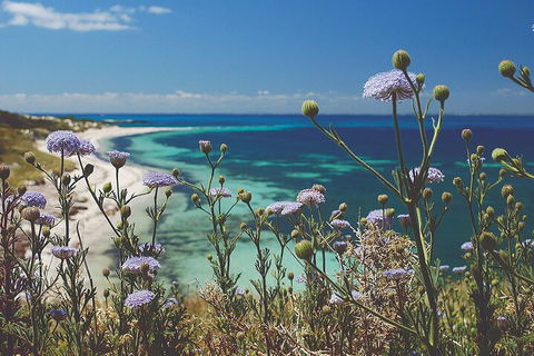 Rottnest Island Full-Day Trip With Guided Island Tour From Perth - Accommodation in Surfers Paradise 2