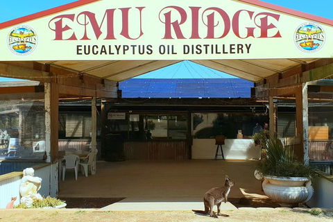 2 Day Ultimate Kangaroo Island With Return Ferry - Accommodation in Surfers Paradise 3