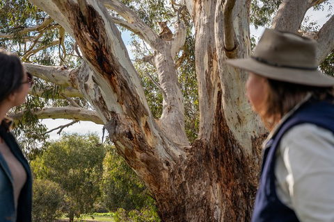 NEW TOUR - Kangaroo Island Road To Recovery Tour (1 Day/1 Night) - Accommodation in Surfers Paradise 0