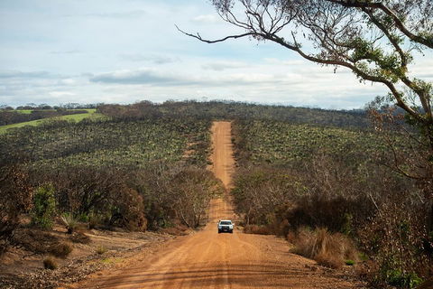 NEW TOUR - Kangaroo Island Road To Recovery Tour (1 Day/1 Night) - Accommodation in Surfers Paradise 2