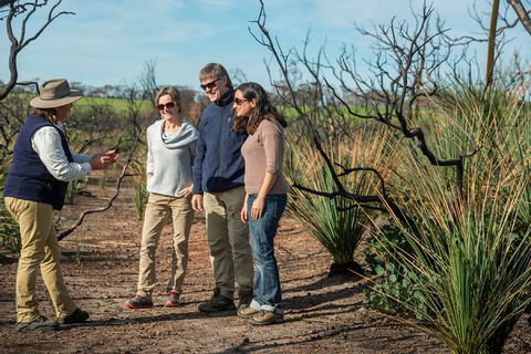 NEW TOUR - Kangaroo Island Road To Recovery Tour (1 Day/1 Night) - Accommodation in Surfers Paradise 4