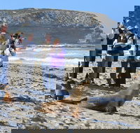 Full day Seal Bay Experience departing from Kangaroo Island - Accommodation in Surfers Paradise