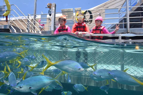 Outer Reef Pontoon Experience From Cairns - Accommodation in Surfers Paradise 0
