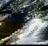 Cradle Mountain Day Tour from Launceston Including Lunch - Accommodation in Surfers Paradise