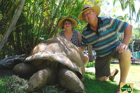 Small-Group Australia Zoo Day Trip From Brisbane - Accommodation in Surfers Paradise 1
